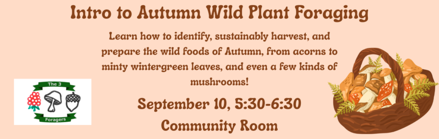 Intro to Autumn Foraging Banner